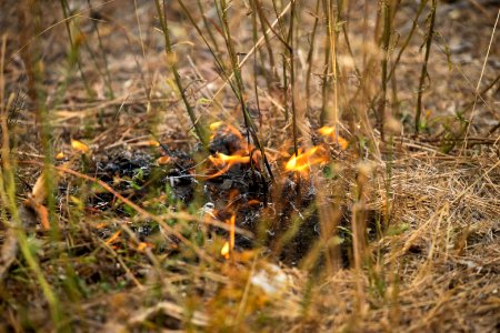 Silver City Hotshots conduction a low intensity (hand ignition) burn operation to secure the line further in the vicinity of Squaw Mountain