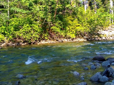 Summertime Sauk River near Bedal Campground, Mt. Baker-Snoqualmie National Forest. Photo by Anne Vassar July 30, 2020.