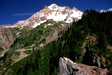 Mt Hood from Timberline Trail, Mt Hood National Forest.jpg photo
