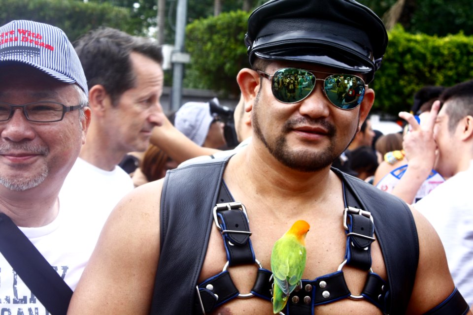 Taiwan LGBT Pride 2015