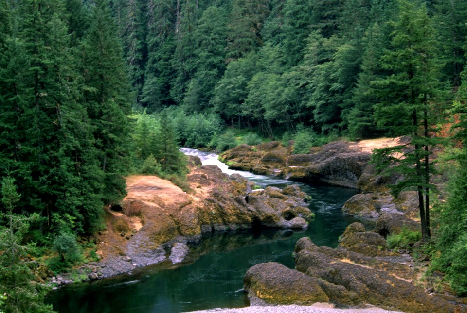 Clackamas River, Mt Hood National Forest-3-2.jpg
