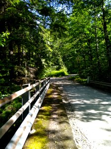 Sauk River Views near Bedal Campground, Mt. Baker-Snoqualmie National Forest. Photos taken by Anne Vassar June 23, 2020