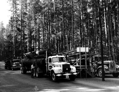 R-6 80-56-56 Westfir Scaling Station, Willamette NF, OR 1966 Frear photo