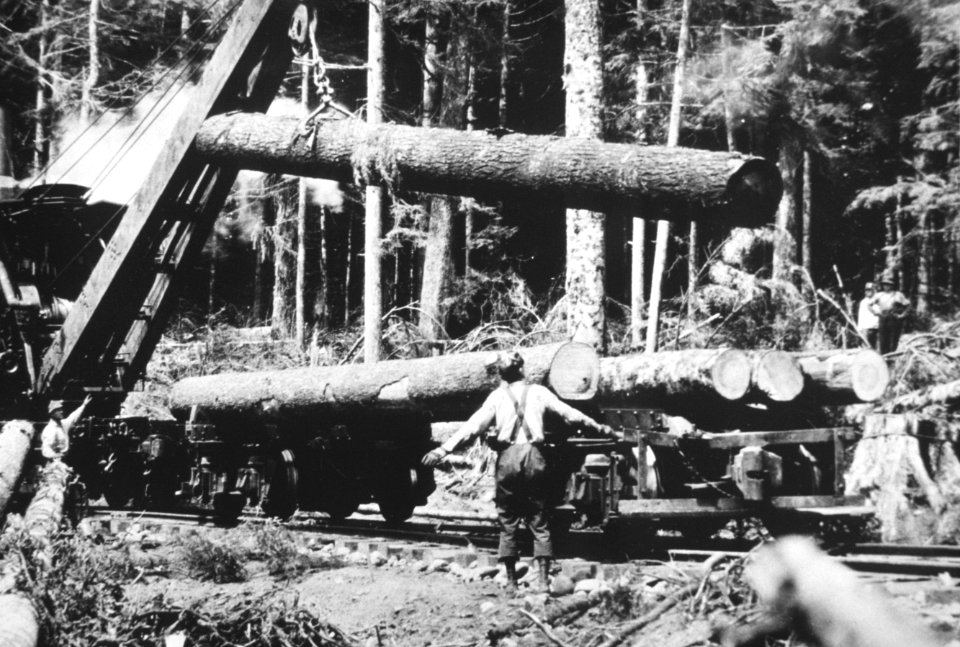 247 Railroad logging