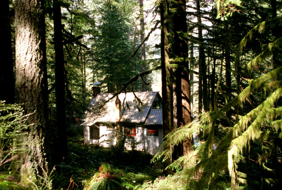 Recreation summer home, Mt Hood National Forest