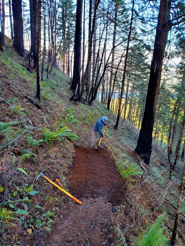 2019 Pacific Crest Trail Association volunteer doing trail work in the Columbia River Gorge