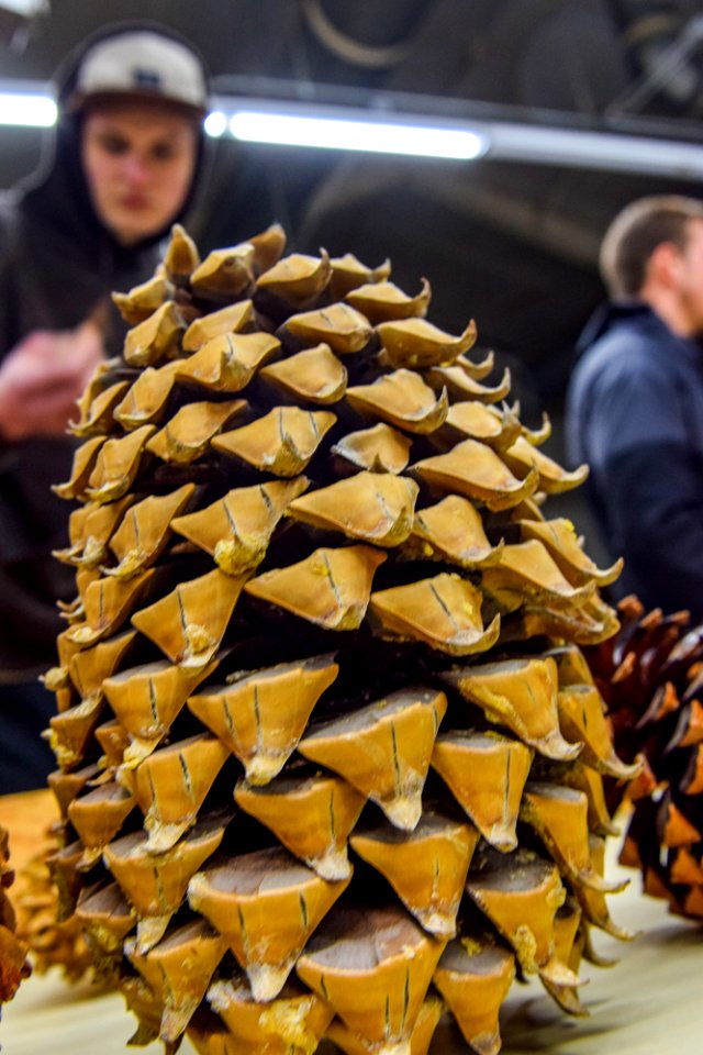 20190223-dorena-school-tour-395jpg 46903043785 o