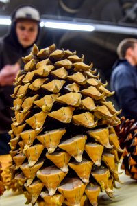 20190223-dorena-school-tour-395jpg 46903043785 o