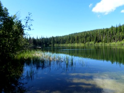 Colville NF Davis Lake June 2020 by Sharleen Puckett 10