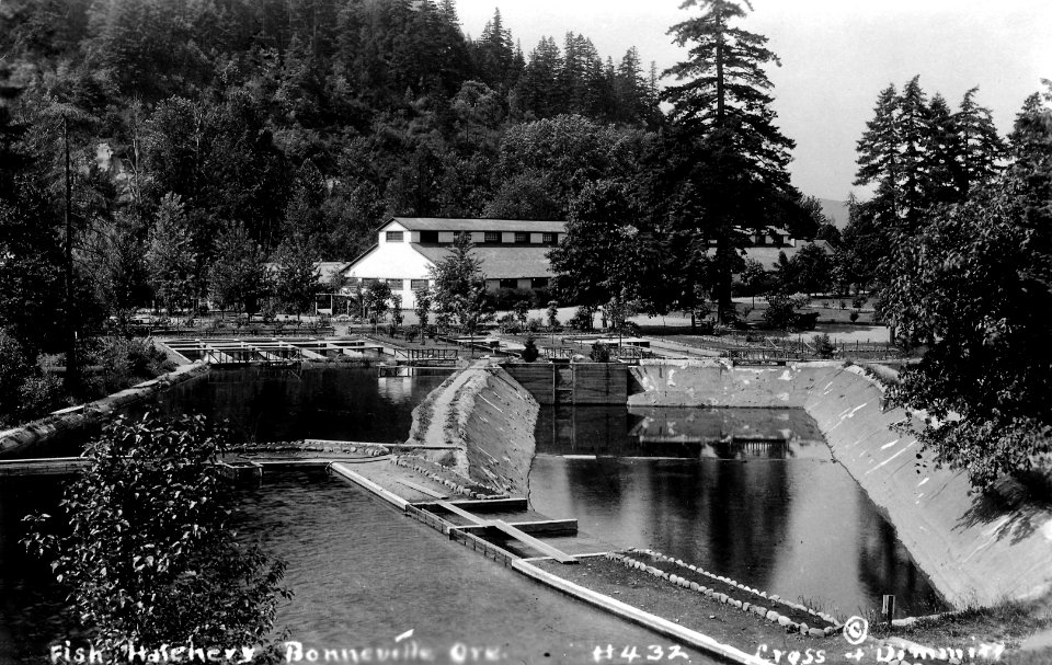 432 Fish Hatchery Bonneville Ore by C&D