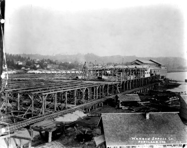 225 Spruce Saw Mill