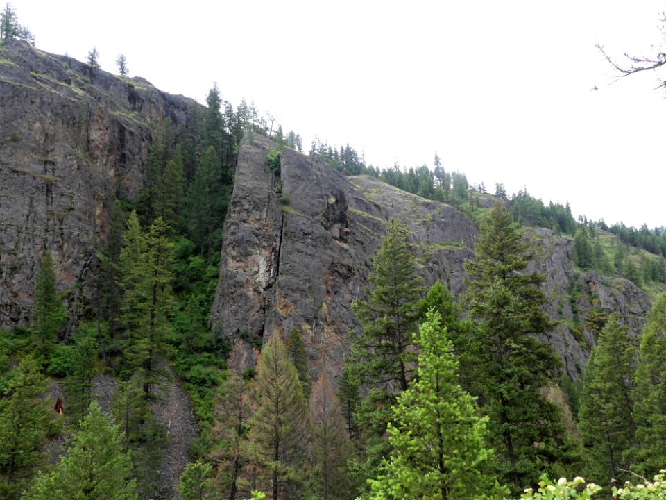 13 Mile Trail June 2020 ridge vista by Sharleen Puckett