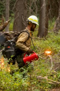 20180820 FS Okanogan KG 0959