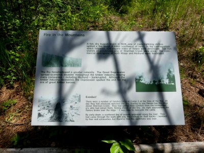 Colville NF log flume trail June 2020 by Sharleen Puckett 13