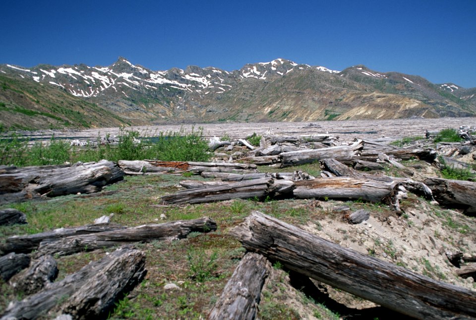 Gifford Pinchot National Forest, Mt St Helens NVM, location near former Spirit Lake Lodge.jpg