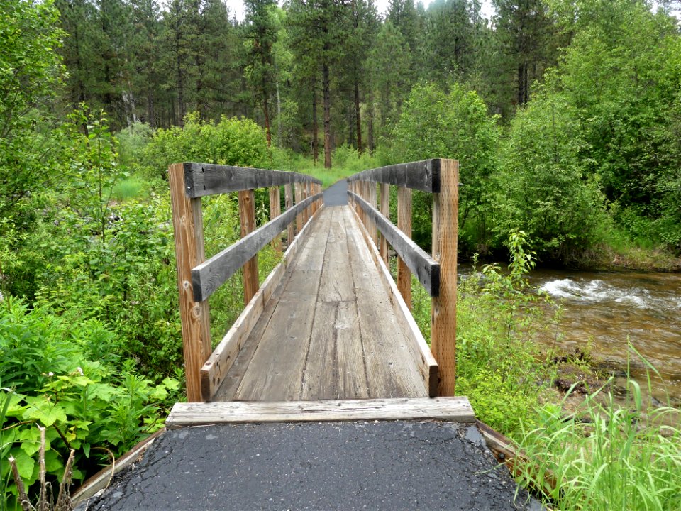 Colville NF log flume trail June 2020 by Sharleen Puckett 4