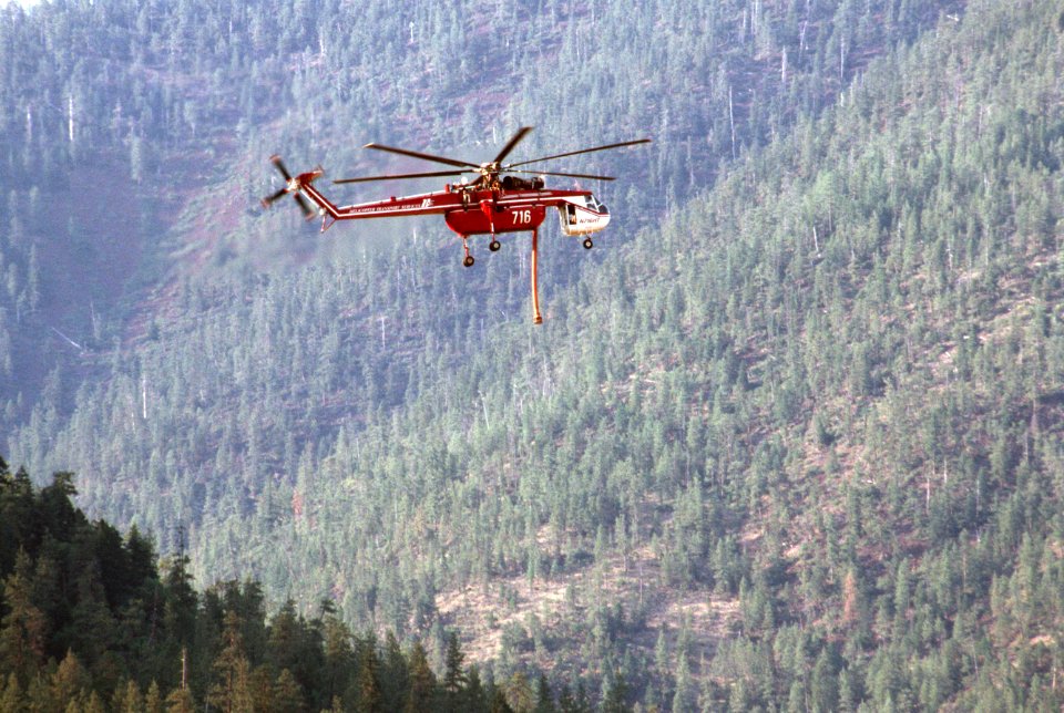 246 Rogue River-Siskiyou National Forest, Biscuit Fire