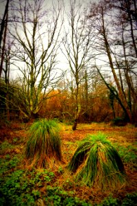 Le Rupt La Chapelle sur Erdre 04-03-2018 11-27-43