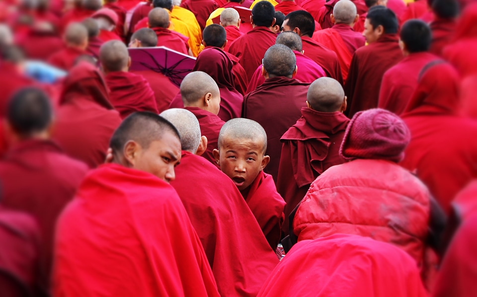 Buddhism celebration spirituality