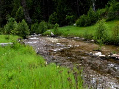 Camp Growden Heritage Site Sherman Creek edge June 2020 by Sharleen Puckett