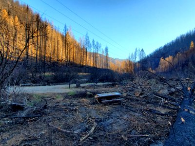 Sunstrip Campground after Riverside Fire, Mt. Hood National Forest