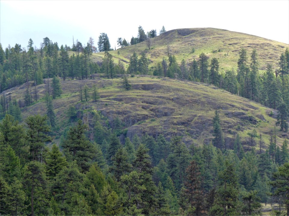 13 Mile Trail June 2020 hills by Sharleen Puckett