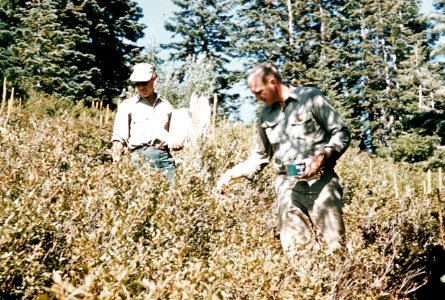 230 Recreation survey High Rock Indian Ridge,Mt Hood Nat'l Forest 1961 photo
