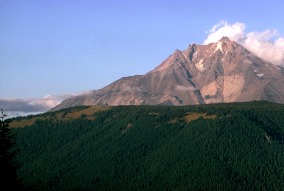 Deschutes National Forest, Mt Jefferson.jpg