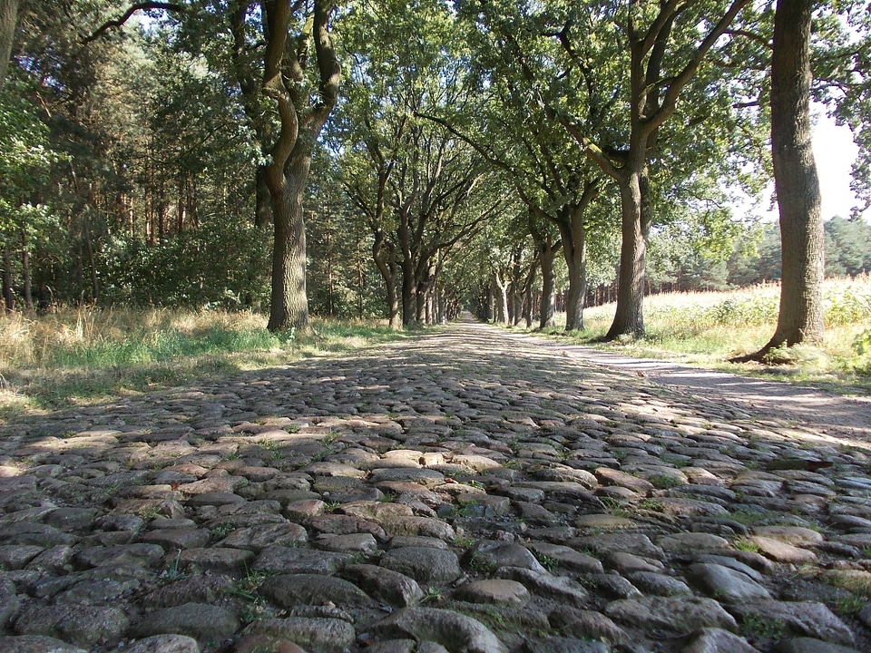 Paving stones road lower saxony