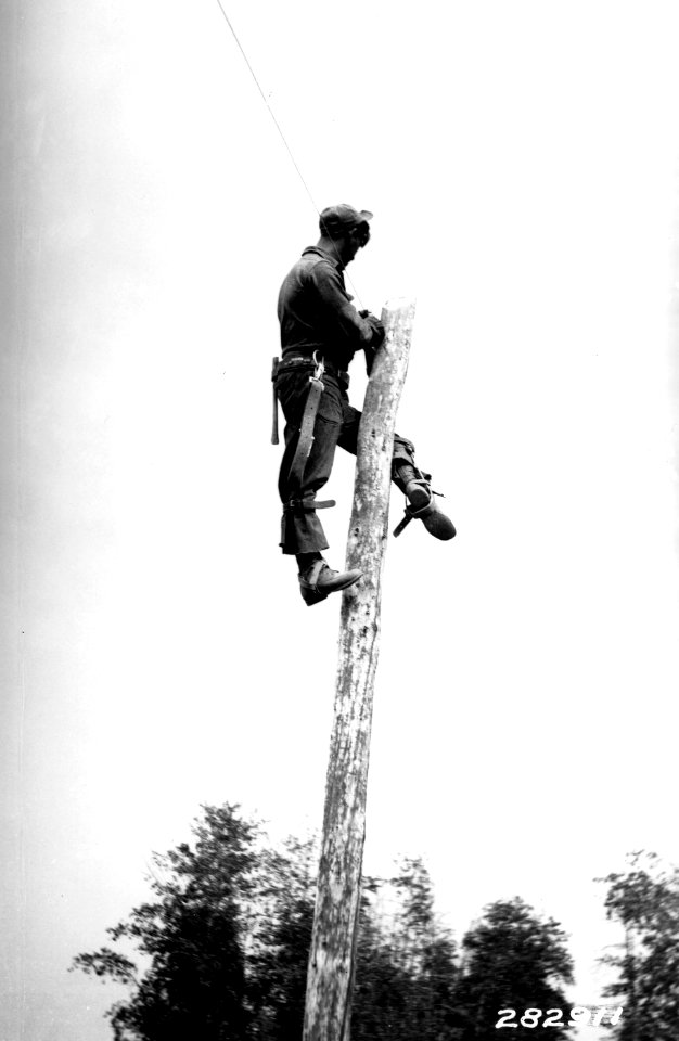 282911 CCC Camp Leslie Co. 951 Telephone Pole, Colville NF, WA