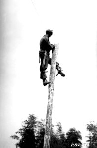 282911 CCC Camp Leslie Co. 951 Telephone Pole, Colville NF, WA
