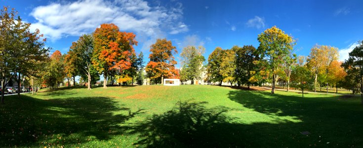 Fall at Queen's University