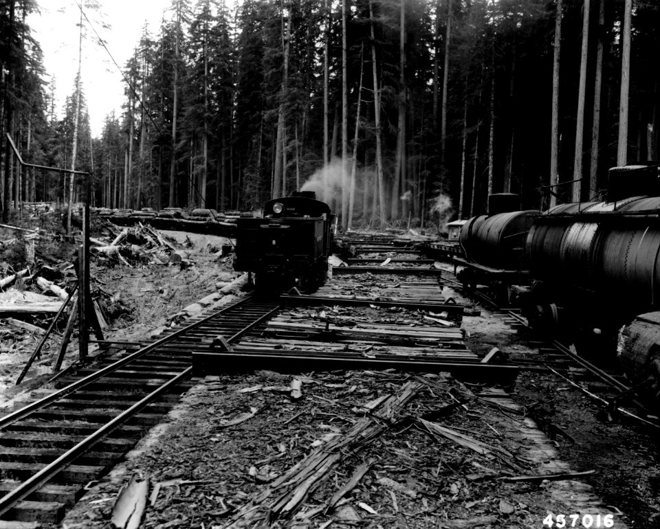 457016 Railroad Logging Operation, OR