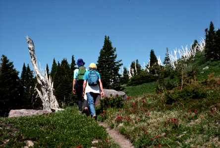 Hiker hiking trail Mt Hood National Forest-2.jpg photo