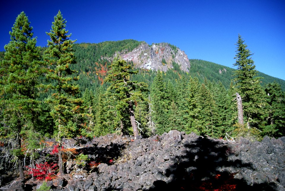 Lava Fields and Forest, Willamette National Forest.jpg