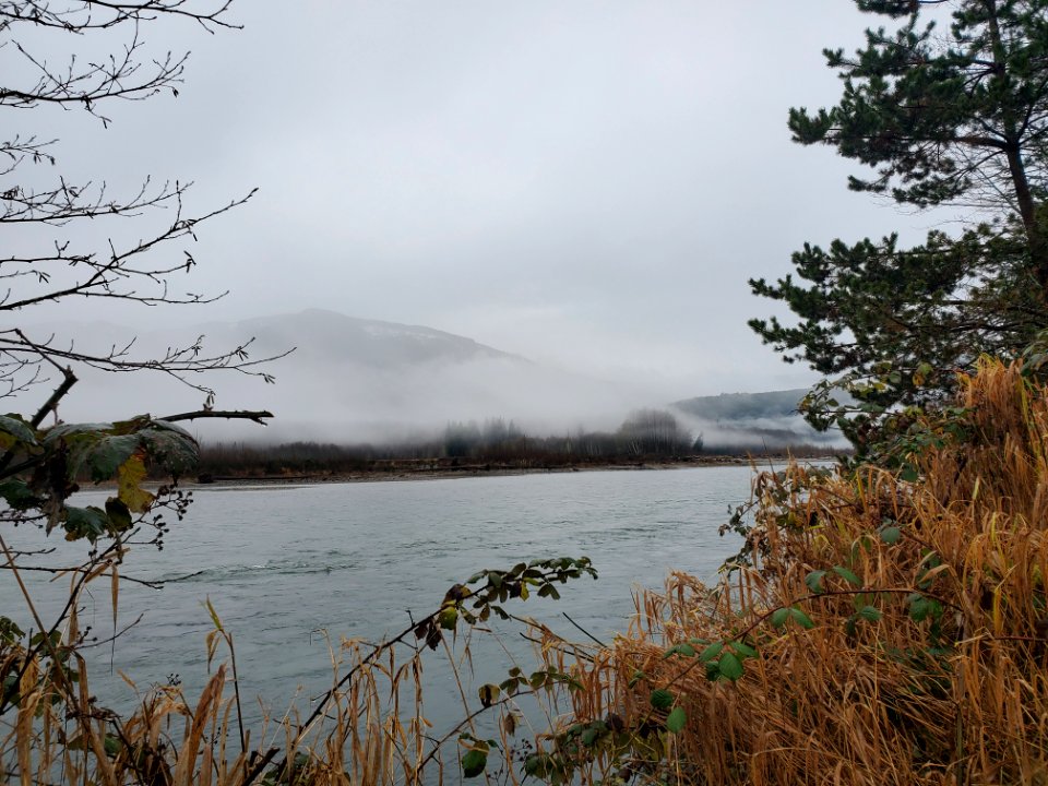 Misty morning on the Skagit River. Photo by Anne Vassar December 8, 2020.