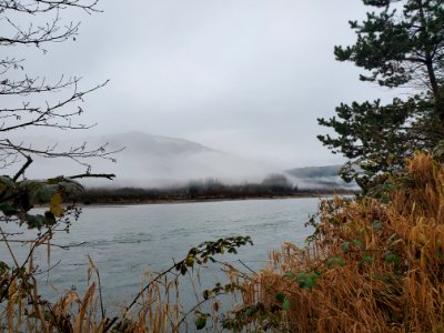 Misty morning on the Skagit River. Photo by Anne Vassar December 8, 2020.