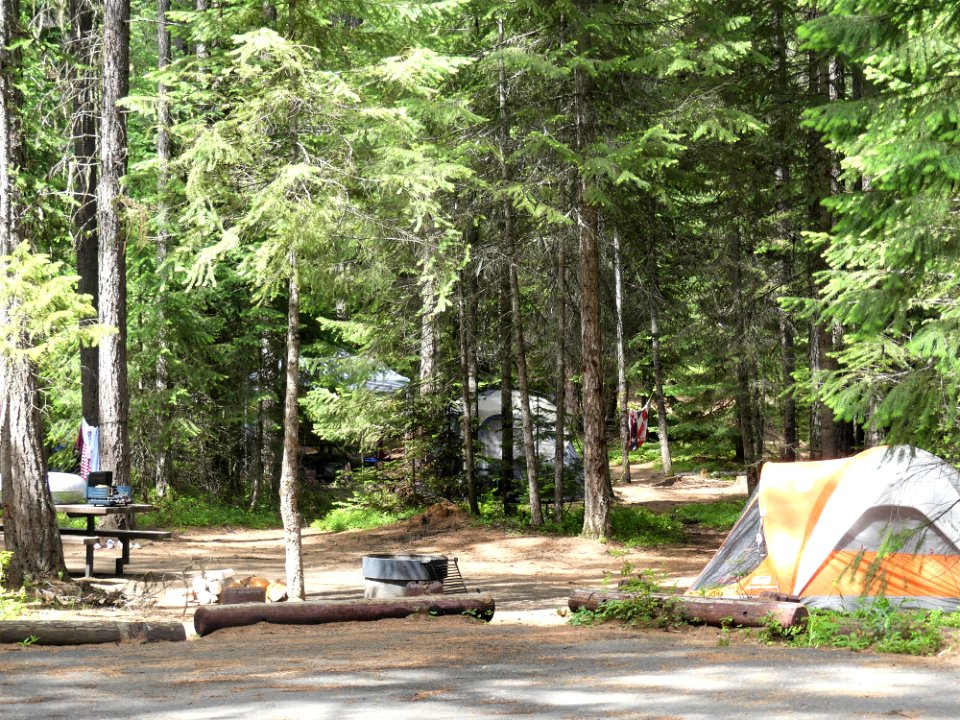 Colville NF Gillette Lake Campground June 2020 by Sharleen Puckett 9