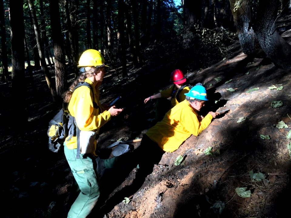 BAER Soil Scientist, Eagle Creek Fire