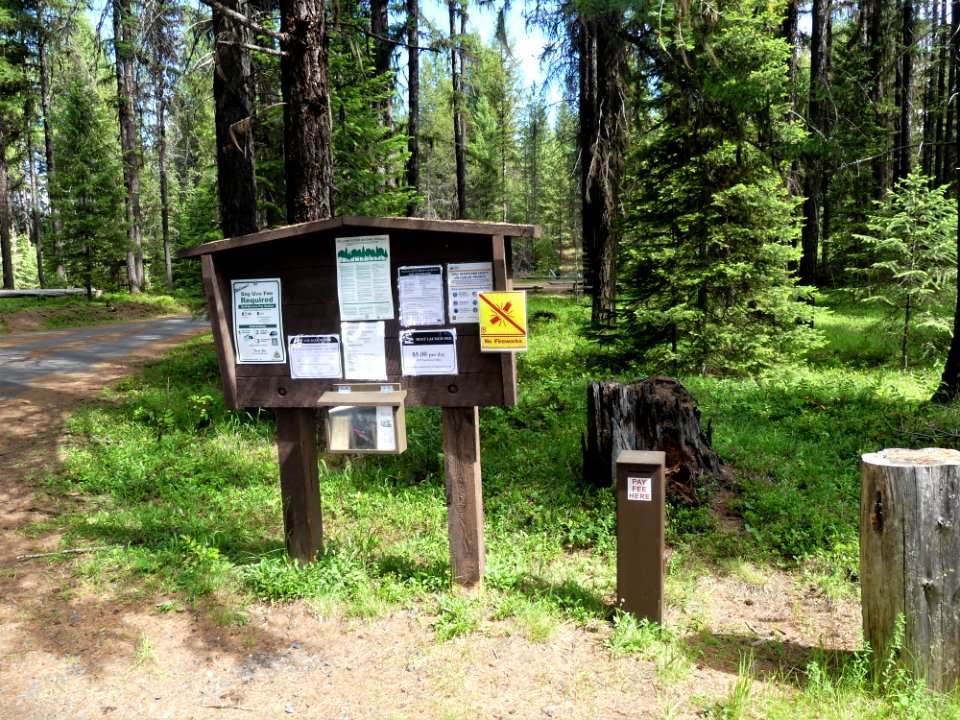 Colville NF Gillette Lake Campground June 2020 by Sharleen Puckett 2