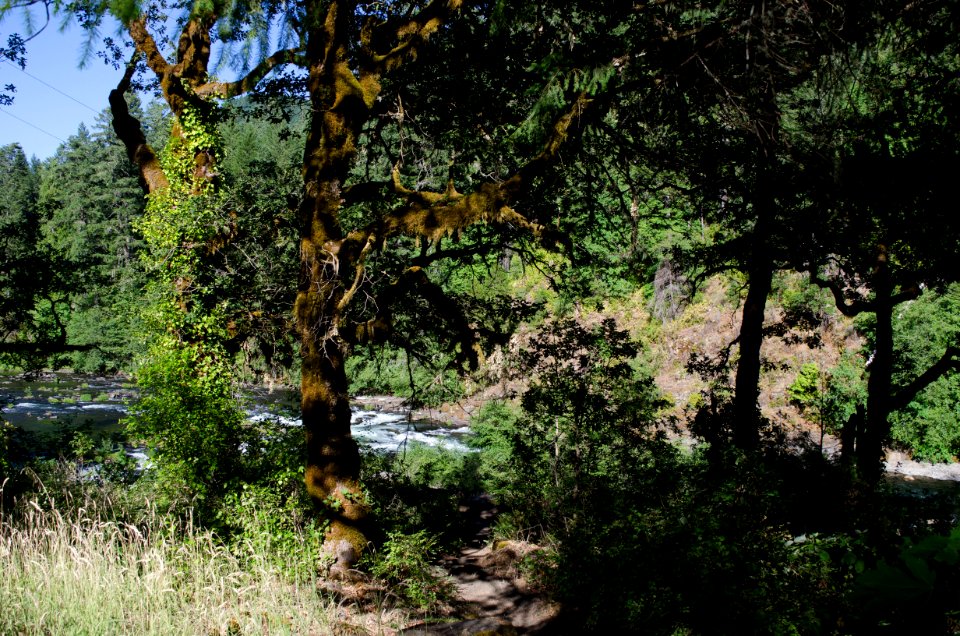 Recreation on the "Wild and Scenic" north Umpqua River