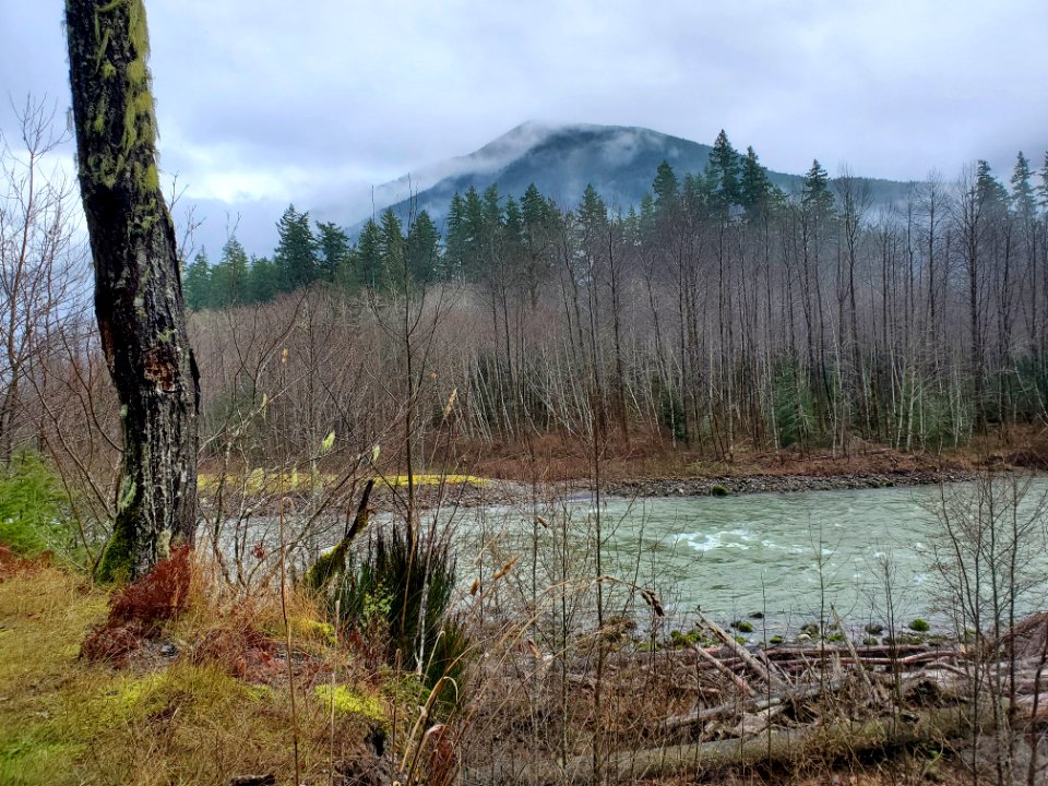 Suiattle River, Mt. Baker-Snoqualmie National Forest. Photo by Anne Vassar December 9, 2020.