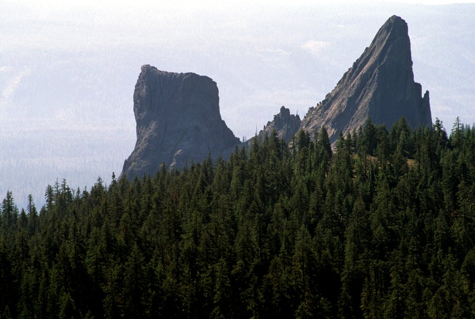Close Up of Rabbit Ears, Rogue River-Siskiyou National Forest.jpg