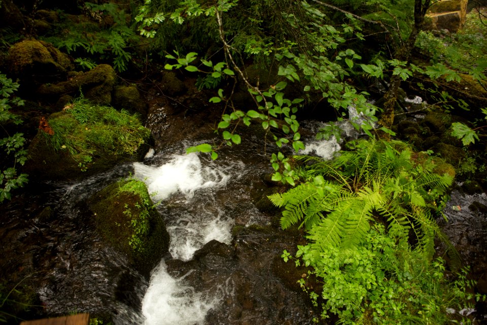 pretty-stream-scene2