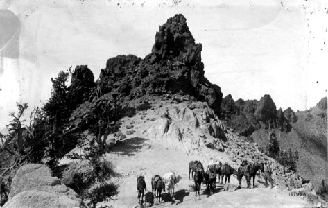 14790A Sand Pass, Wallowa NF, OR 1911 photo