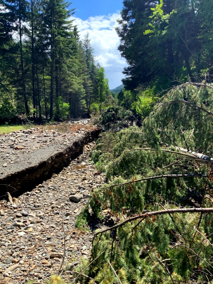 Forest Service Road 54 (Pearson Creek)