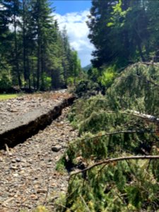 Forest Service Road 54 (Pearson Creek)