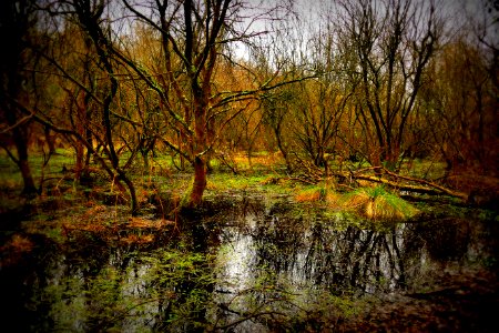 Le Rupt La Chapelle sur Erdre 04-03-2018 11-30-45
