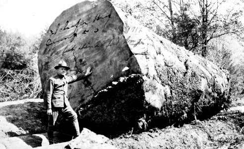 SPD Soldier by 11ft 1 inch Log 1917