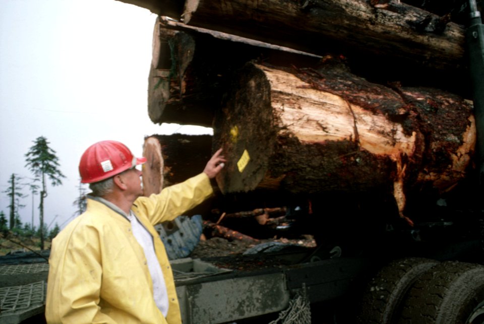 Gifford Pinchot National Forest, timber harvest operations-2.jpg